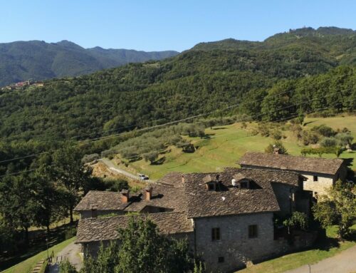 Bando Agrisolare La Spezia e Lunigiana: trasforma la tua azienda agricola con Ecosolare
